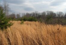Fracking In Stokes County