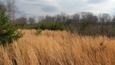 Fracking In Stokes County