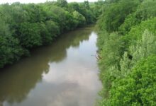 Dan River 311 upriver