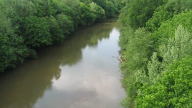 Dan River 311 upriver