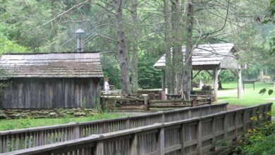 Meadows Of Dan Mabry Mill